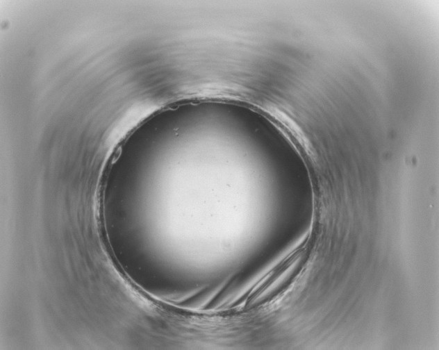 X0000088891285200706221831