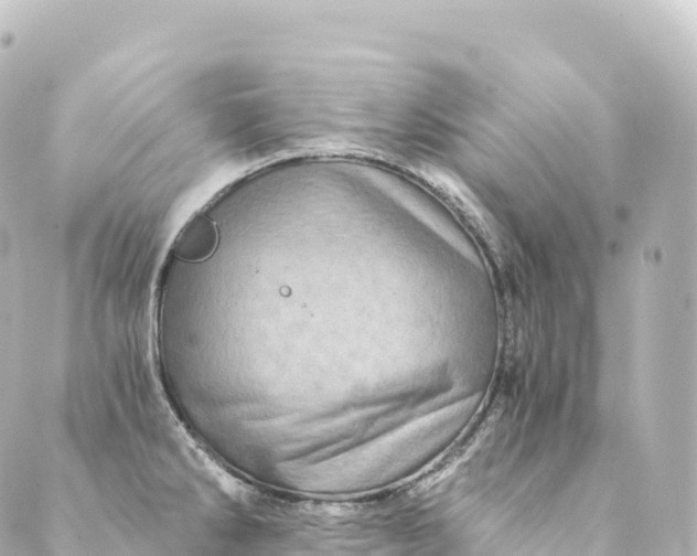 X0000088891286200706221831