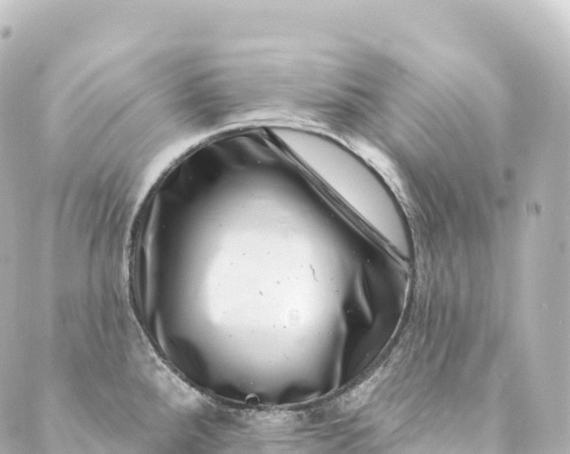 X0000088891288200706221830