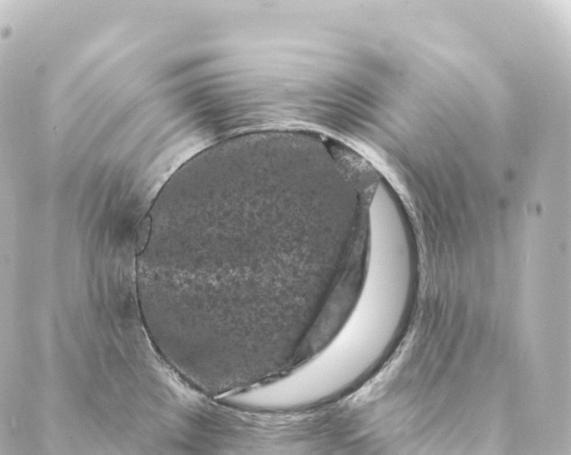 X0000088891289200706221830