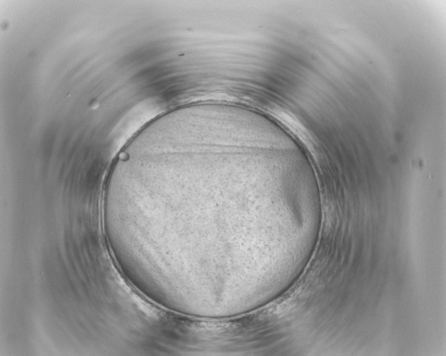 X0000088891290200706221830