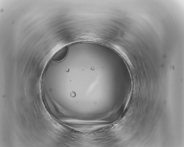 X0000088891291200706221830