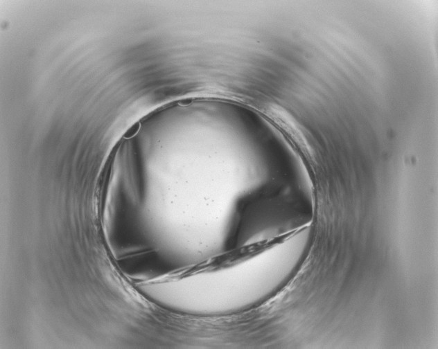 X0000088891292200706221830