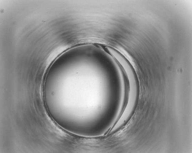 X0000088891293200706221830