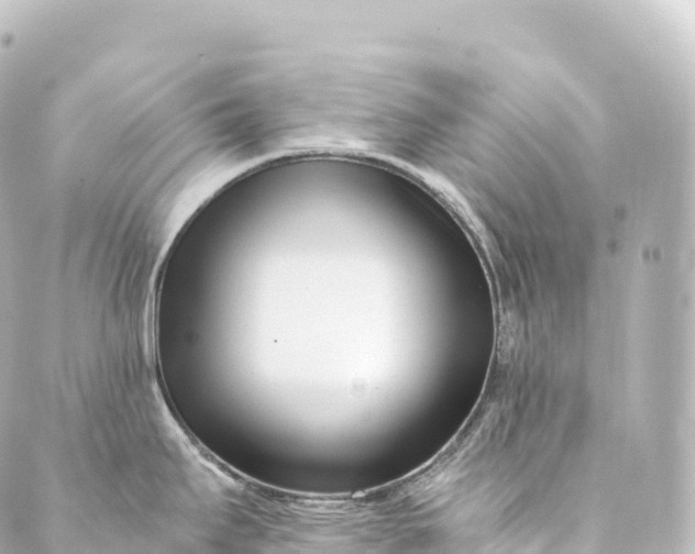 X0000088891295200706221830