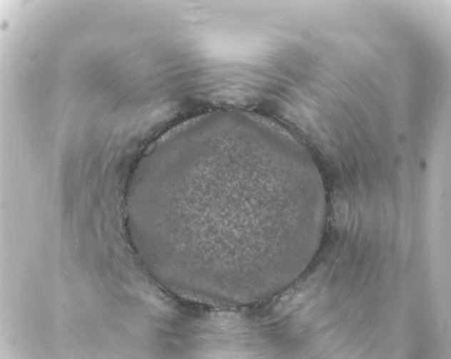 X0000088891297200706221830