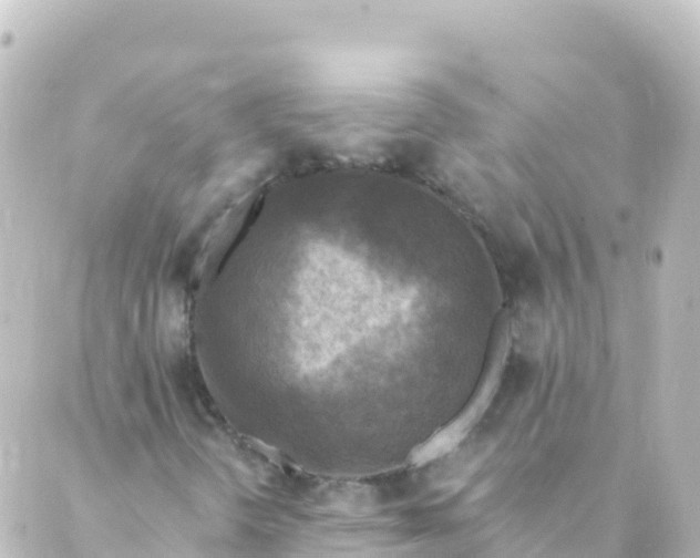 X0000088891298200706221830