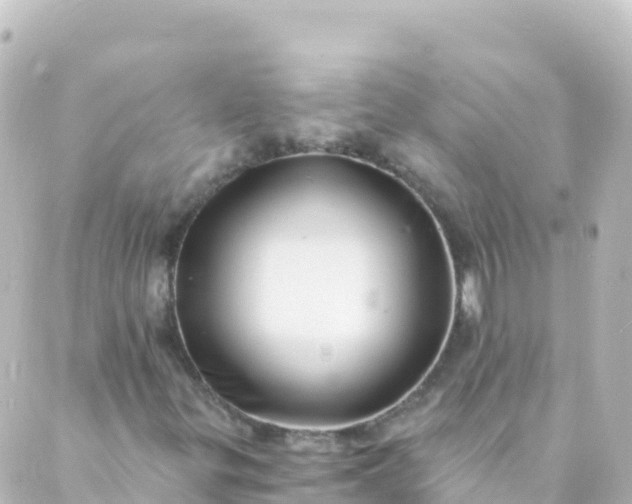 X0000088891299200706221830