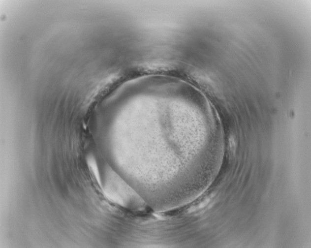 X0000088891300200706221830