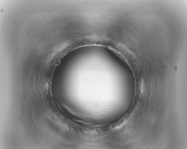 X0000088891302200706221830