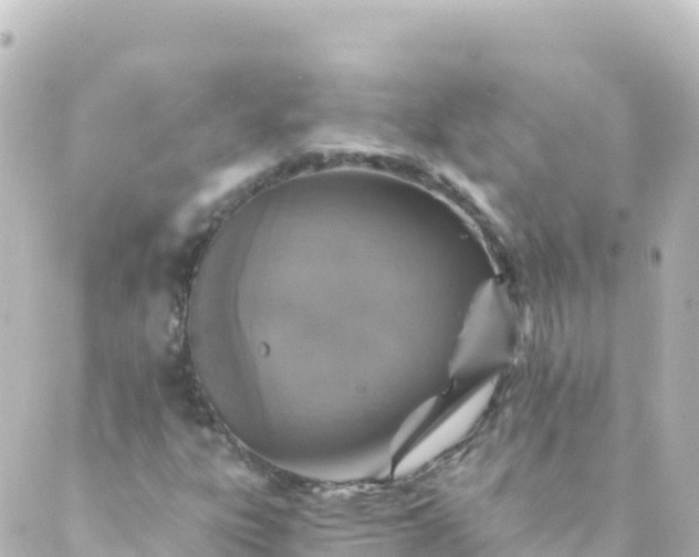 X0000088891303200706221830