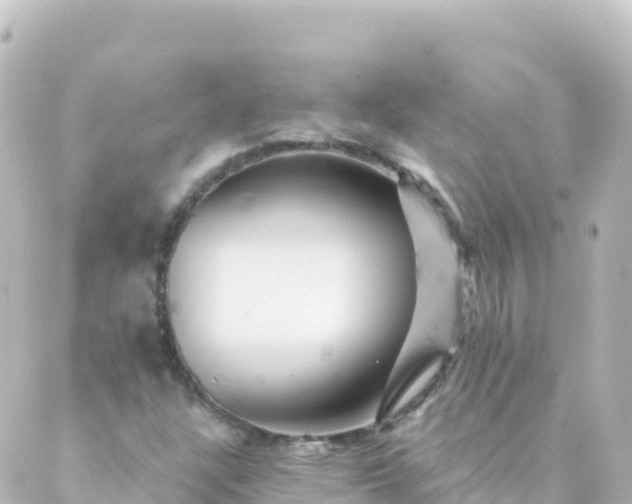 X0000088891304200706221830