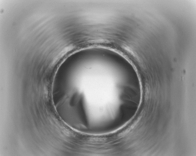 X0000088891305200706221830