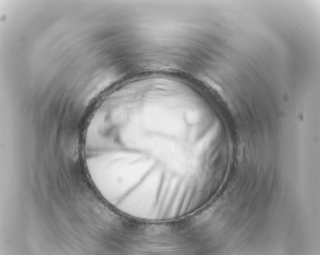 X0000088891306200706221830