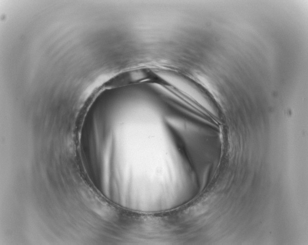 X0000088891308200706221830