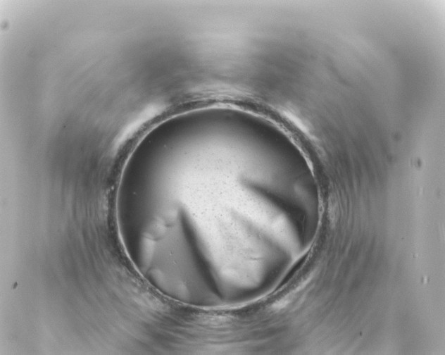 X0000088891309200706221830