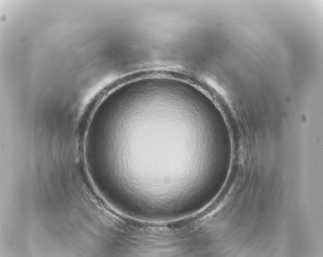 X0000088891310200706221830