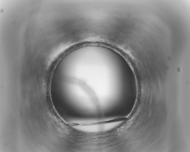 X0000088891311200706221830