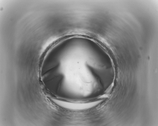 X0000088891312200706221830