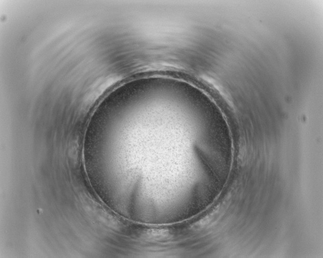 X0000088891313200706221830