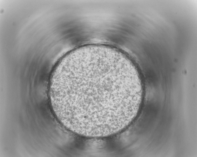 X0000088891314200706221830