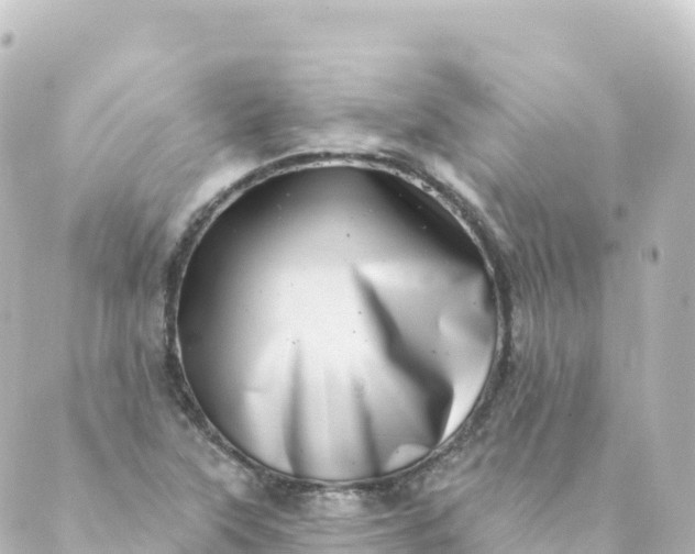 X0000088891315200706221830