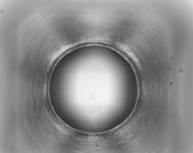 X0000088891316200706221830