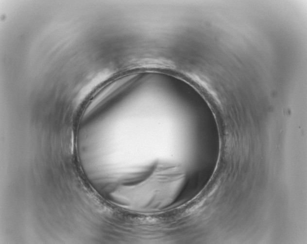 X0000088891317200706221830