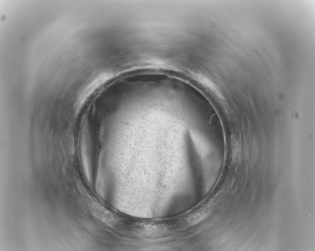 X0000088891318200706221830