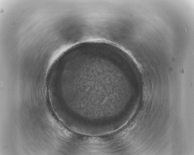 X0000088891319200706221830