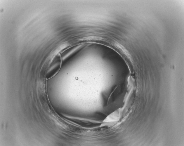 X0000088891321200706221830