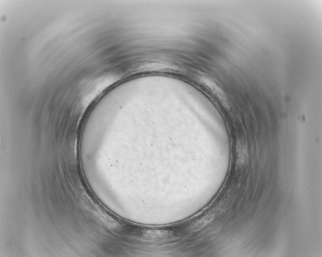 X0000088891322200706221830