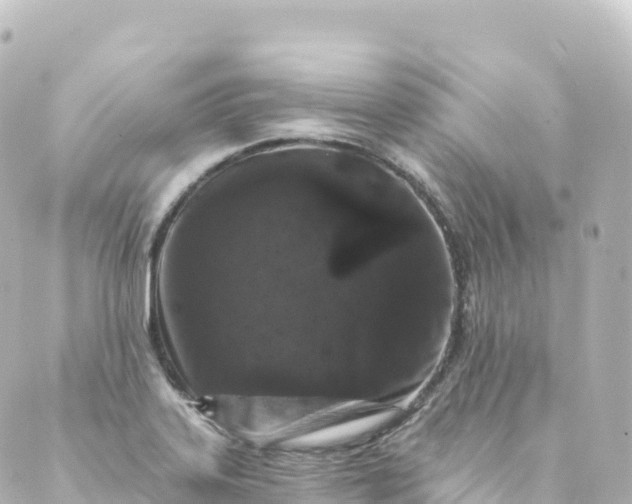 X0000088891323200706221830