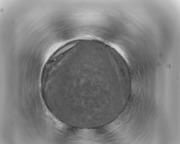 X0000088891327200706221830