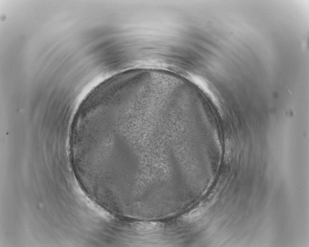 X0000088891331200706221830