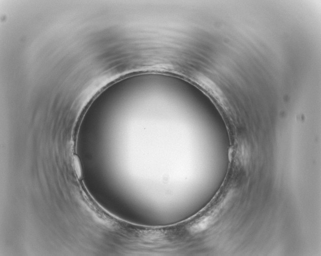 X0000088891332200706221830