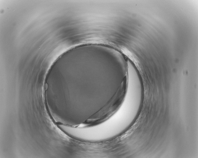 X0000088891334200706221830