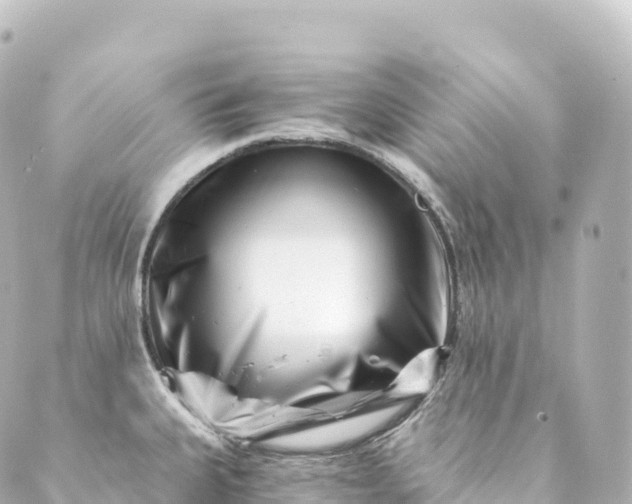 X0000088891335200706221830