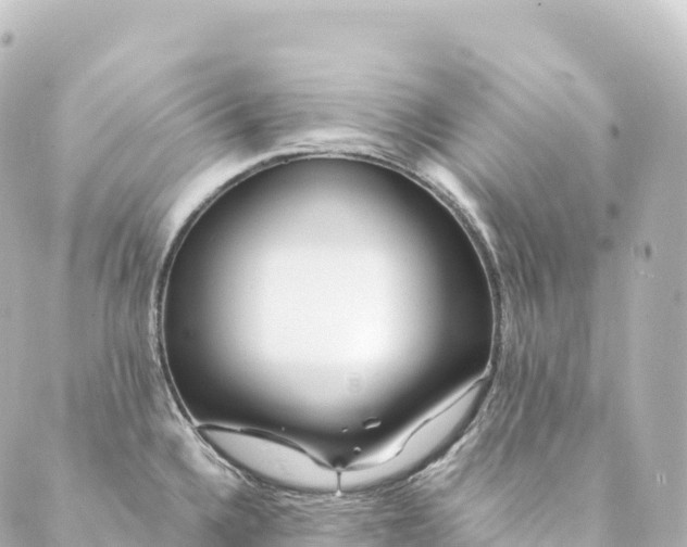 X0000088891336200706221830