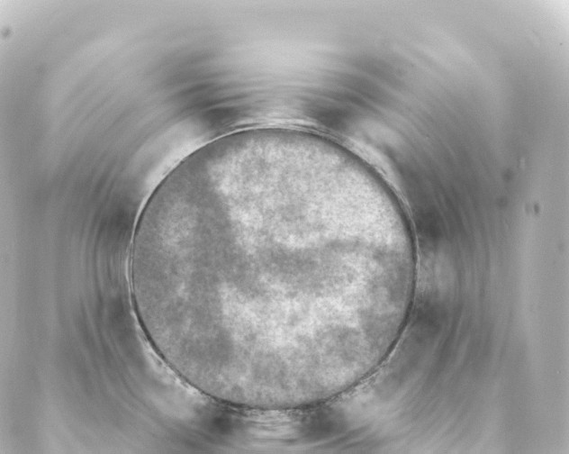 X0000088891338200706221830