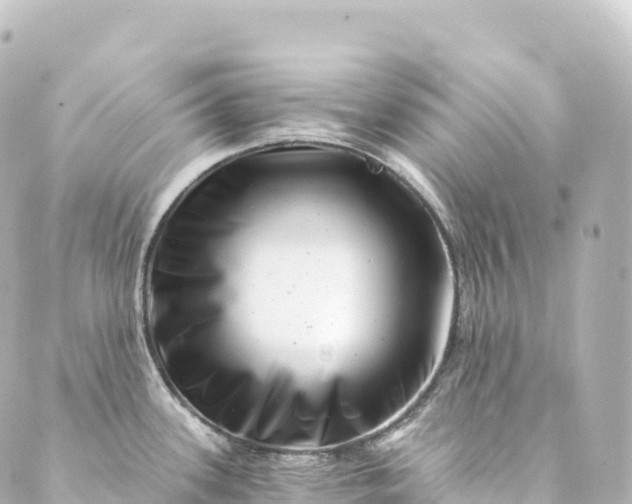 X0000088891339200706221830