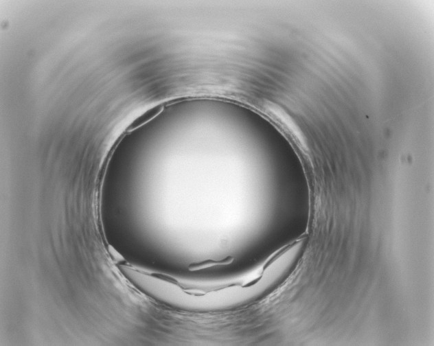 X0000088891340200706221830