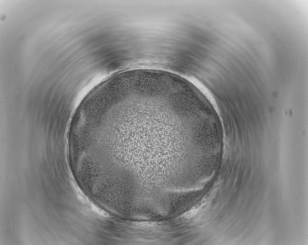 X0000088891341200706221830