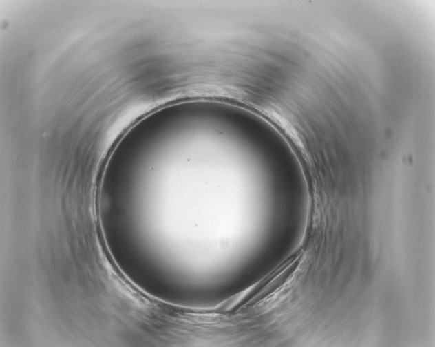 X0000088891342200706221830