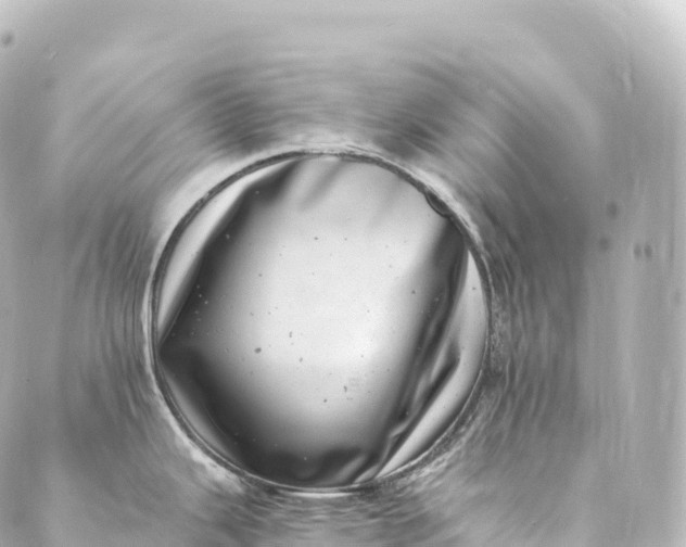 X0000088891343200706221830