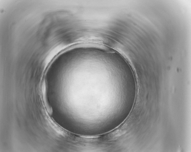 X0000088891344200706221830