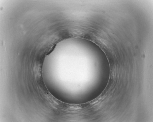 X0000088891346200706221830