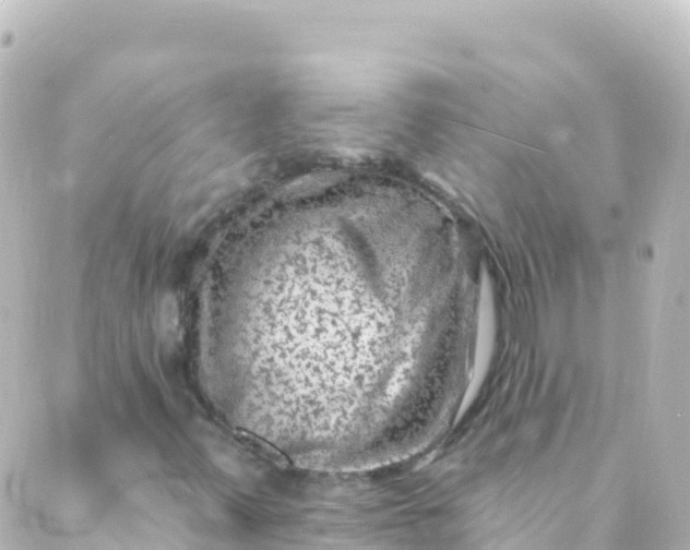 X0000088891347200706221830