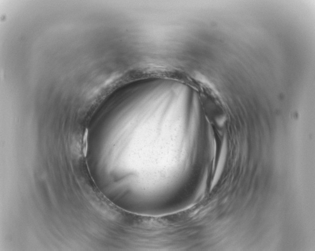 X0000088891348200706221830