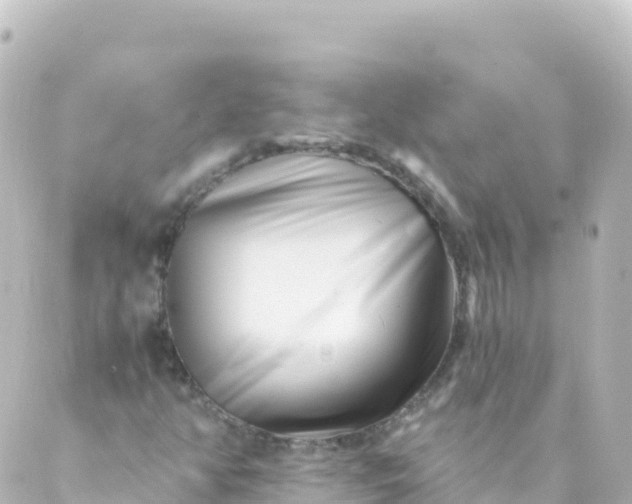 X0000088891350200706221829